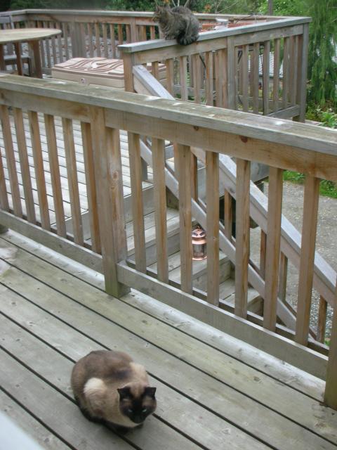 DSCN8377.JPG