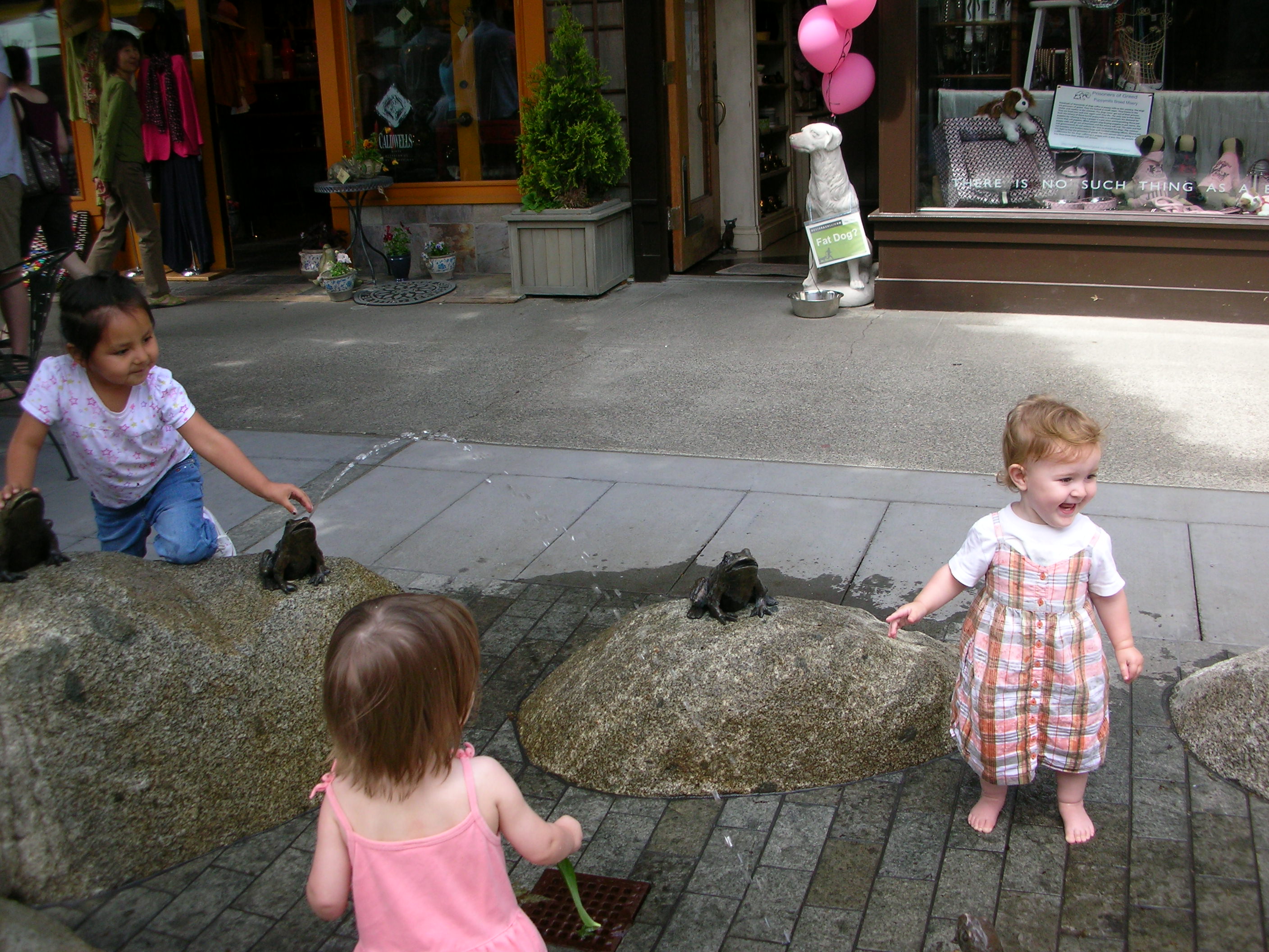 DSCN8384.JPG
