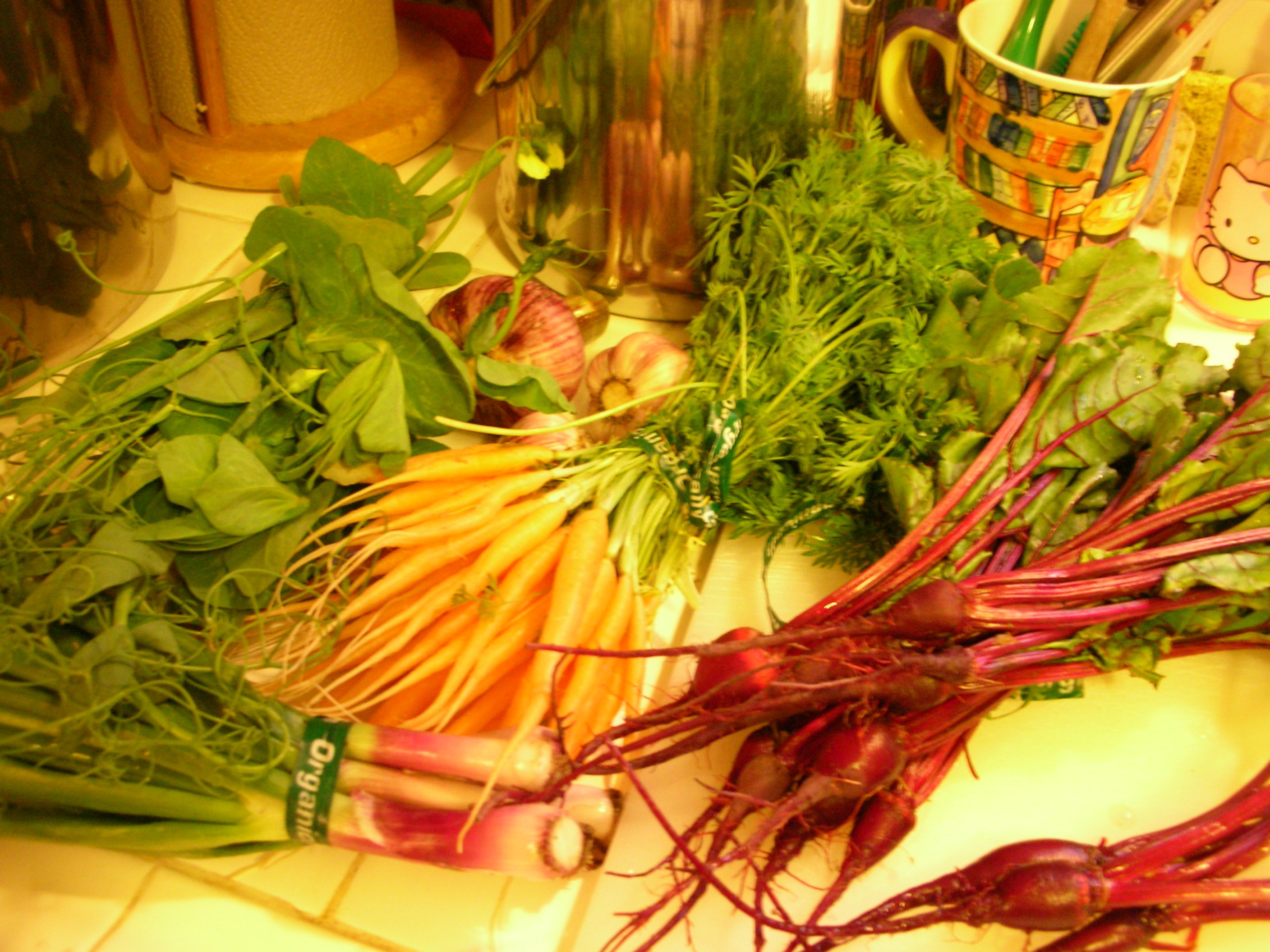 DSCN8392.JPG