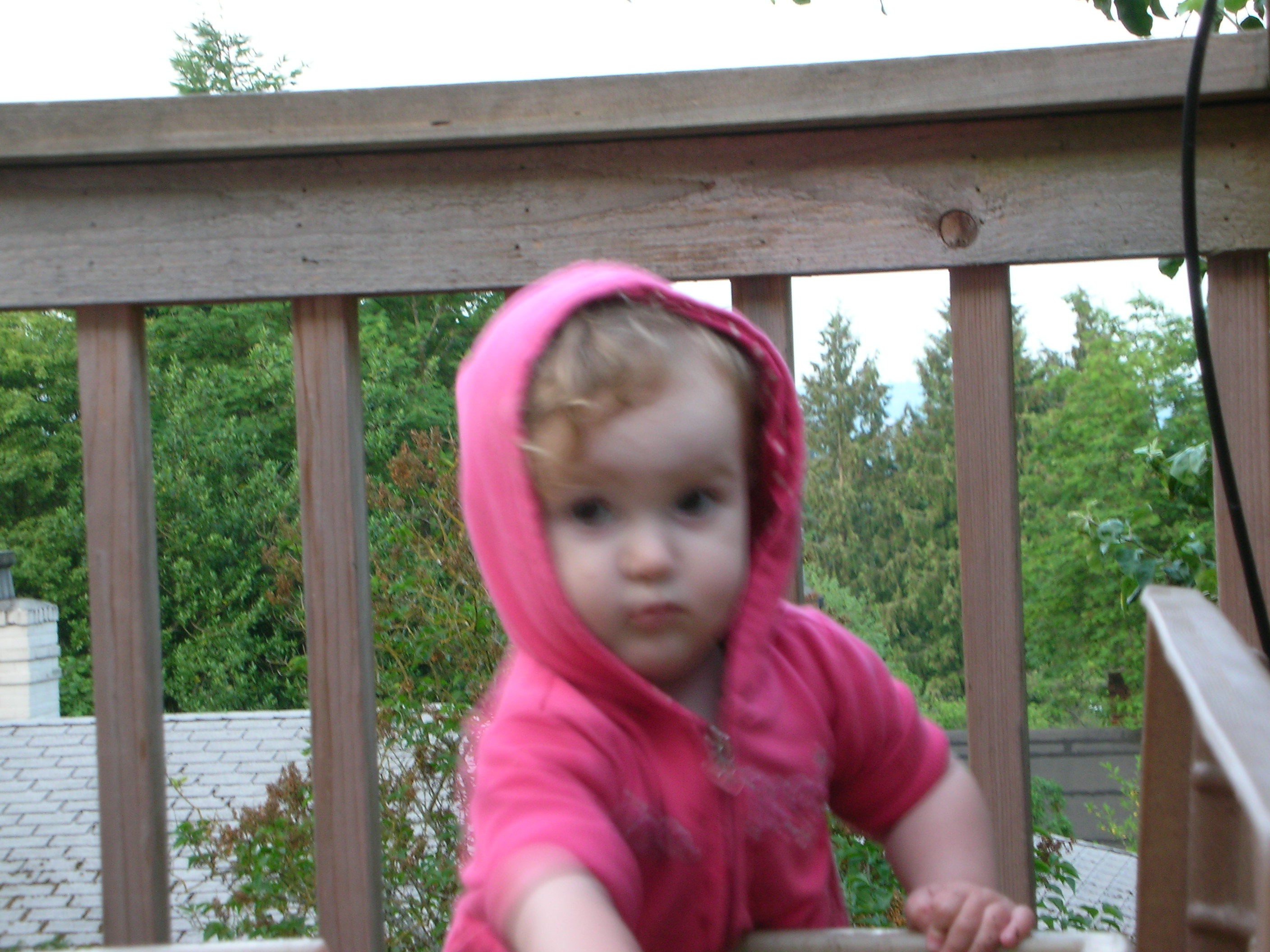 DSCN8426.JPG