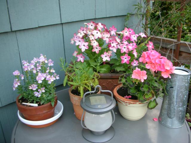 DSCN8433.JPG