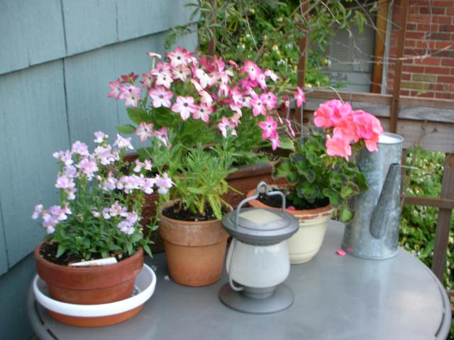 DSCN8434.JPG