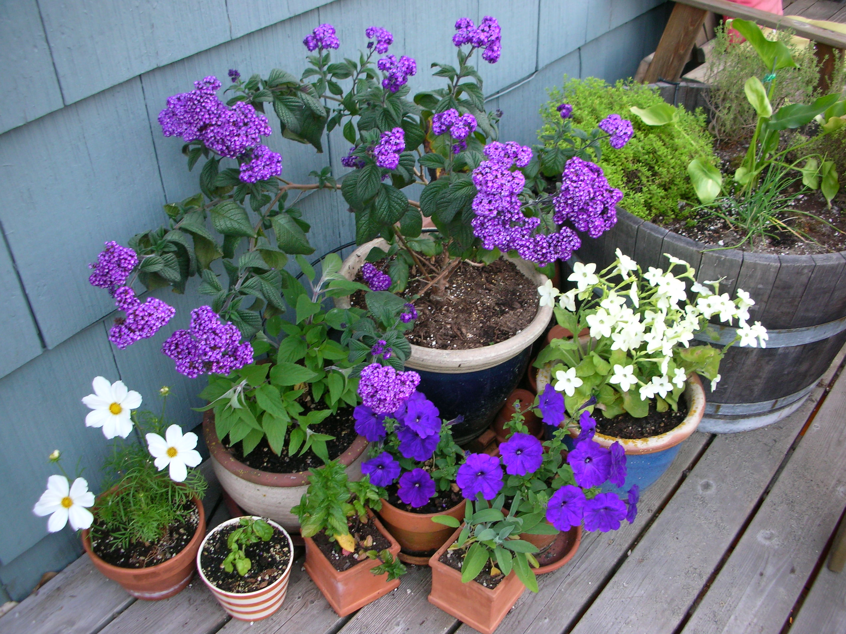 DSCN8437.JPG