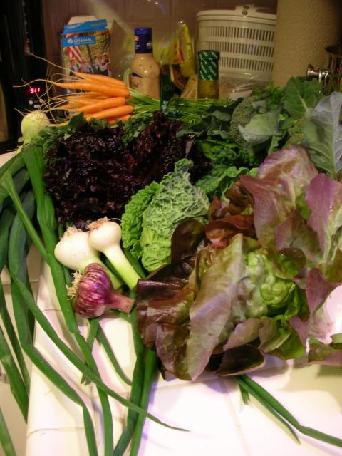DSCN8442.JPG