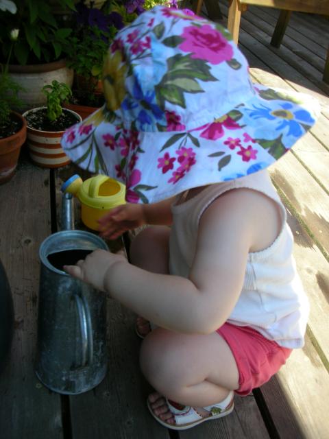DSCN8447.JPG