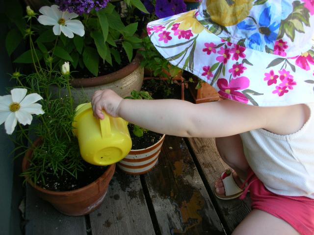 DSCN8450.JPG