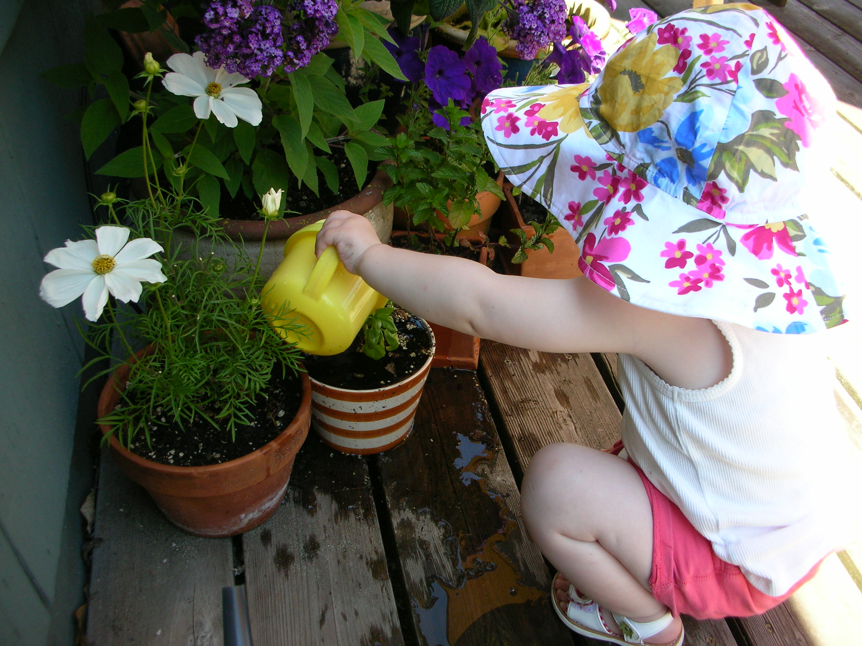 DSCN8451.JPG