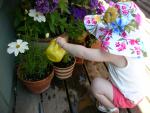 DSCN8451.JPG