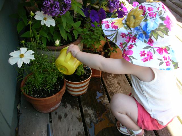 DSCN8451.JPG