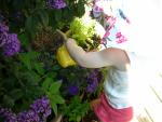 DSCN8452.JPG