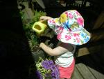 DSCN8456.JPG