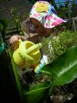 DSCN8457.JPG