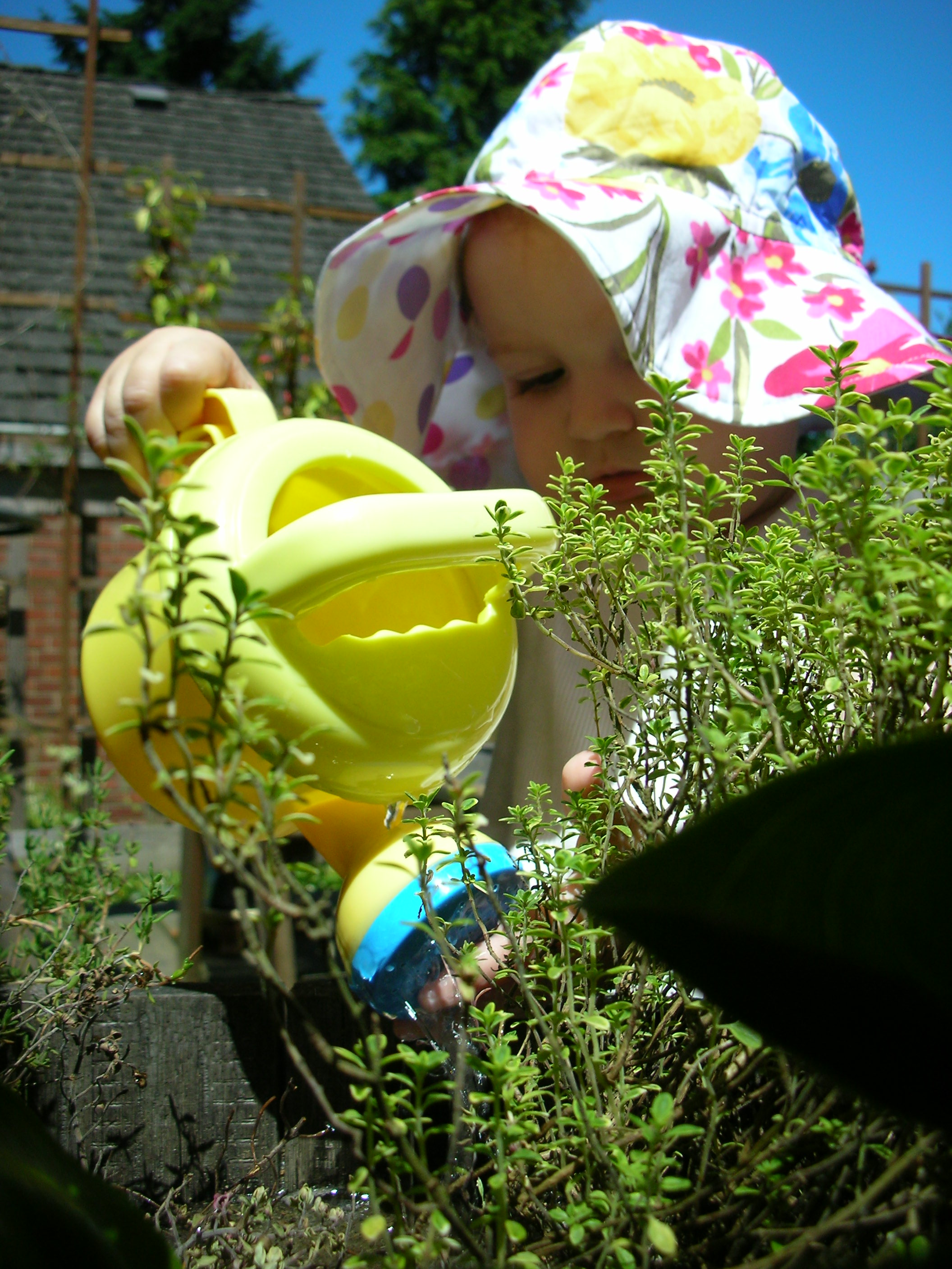 DSCN8458.JPG