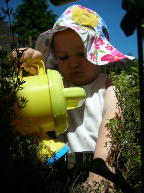 DSCN8459.JPG