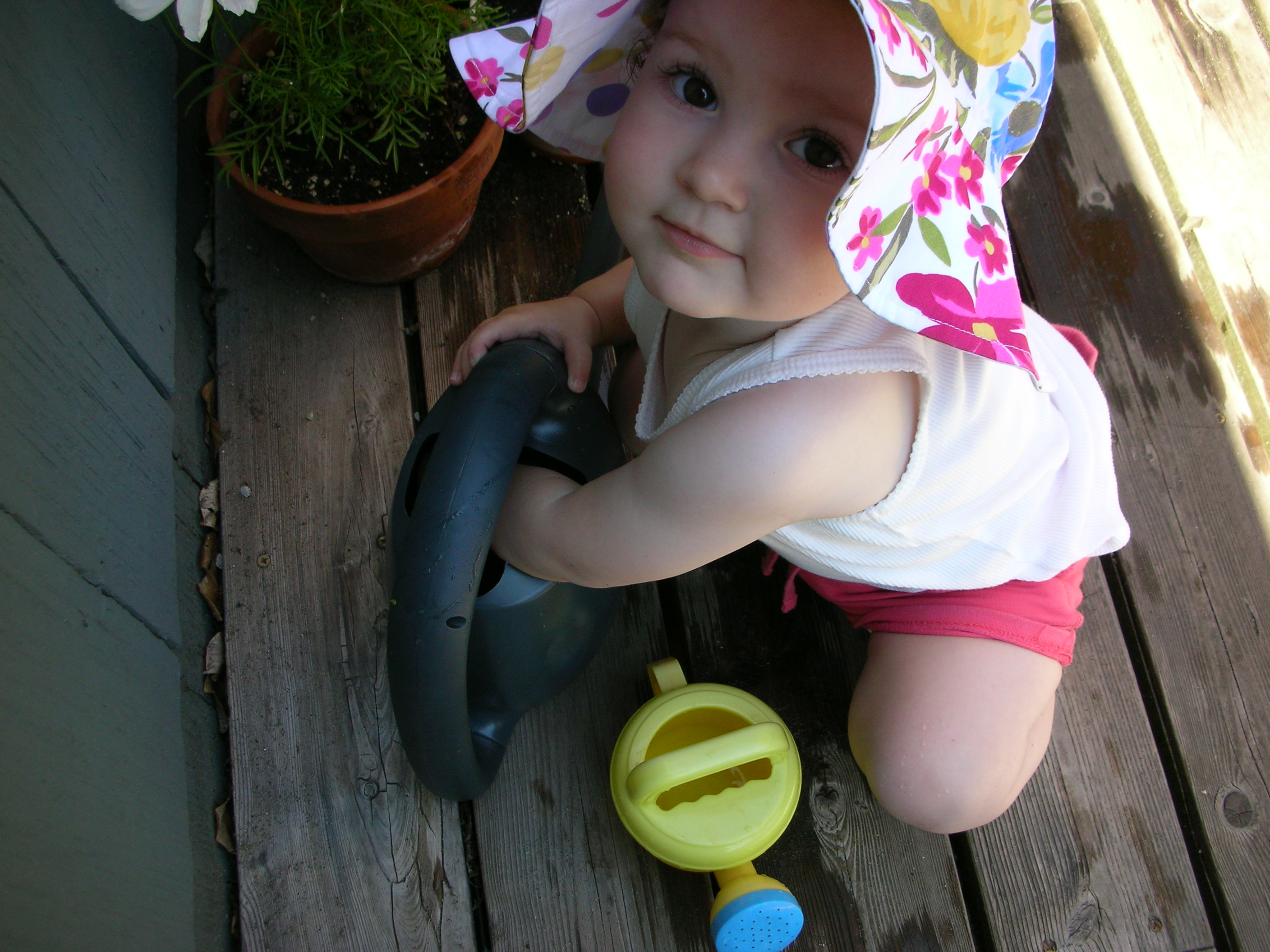 DSCN8461.JPG