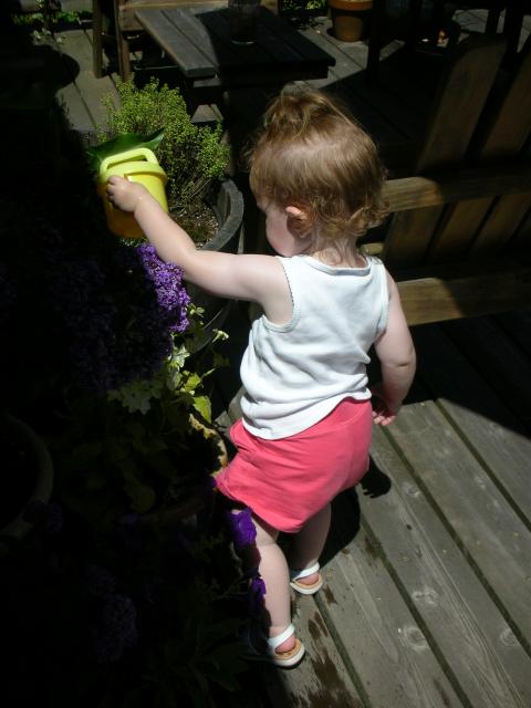DSCN8466.JPG