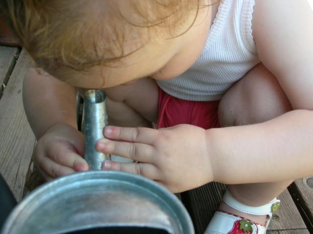 DSCN8469.JPG