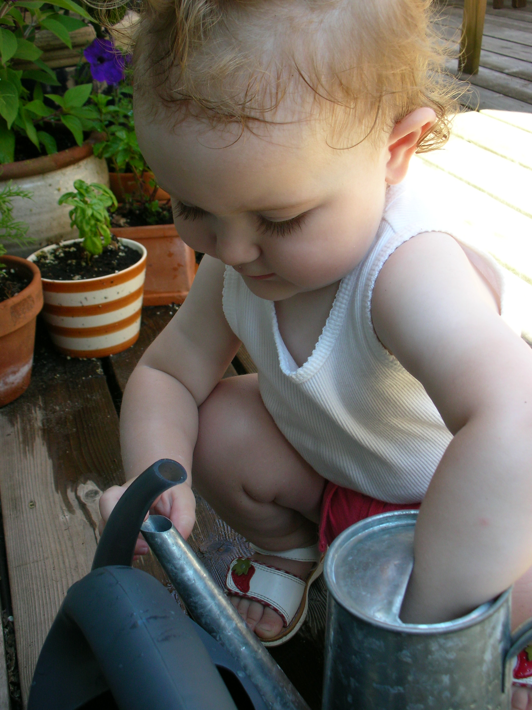 DSCN8473.JPG