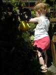 DSCN8475.JPG