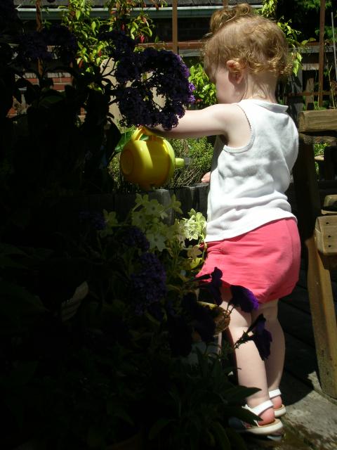 DSCN8475.JPG