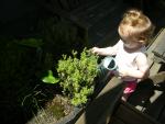 DSCN8476.JPG