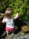 DSCN8477.JPG