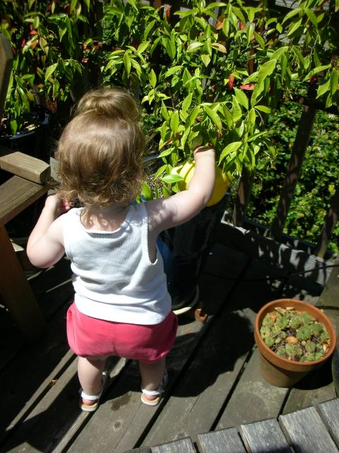 DSCN8477.JPG
