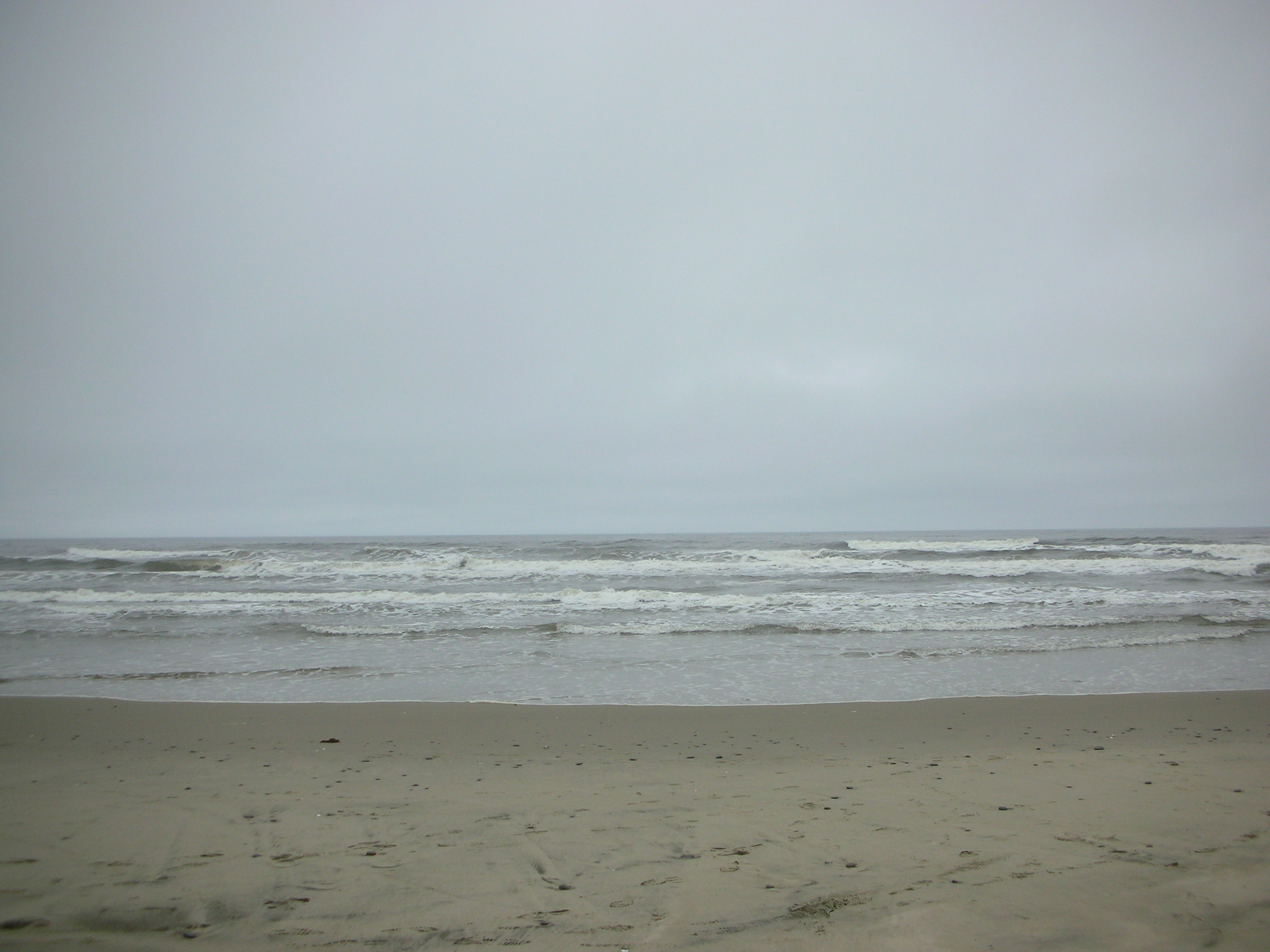 DSCN8617.JPG