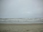DSCN8617.JPG