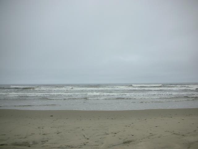 DSCN8617.JPG