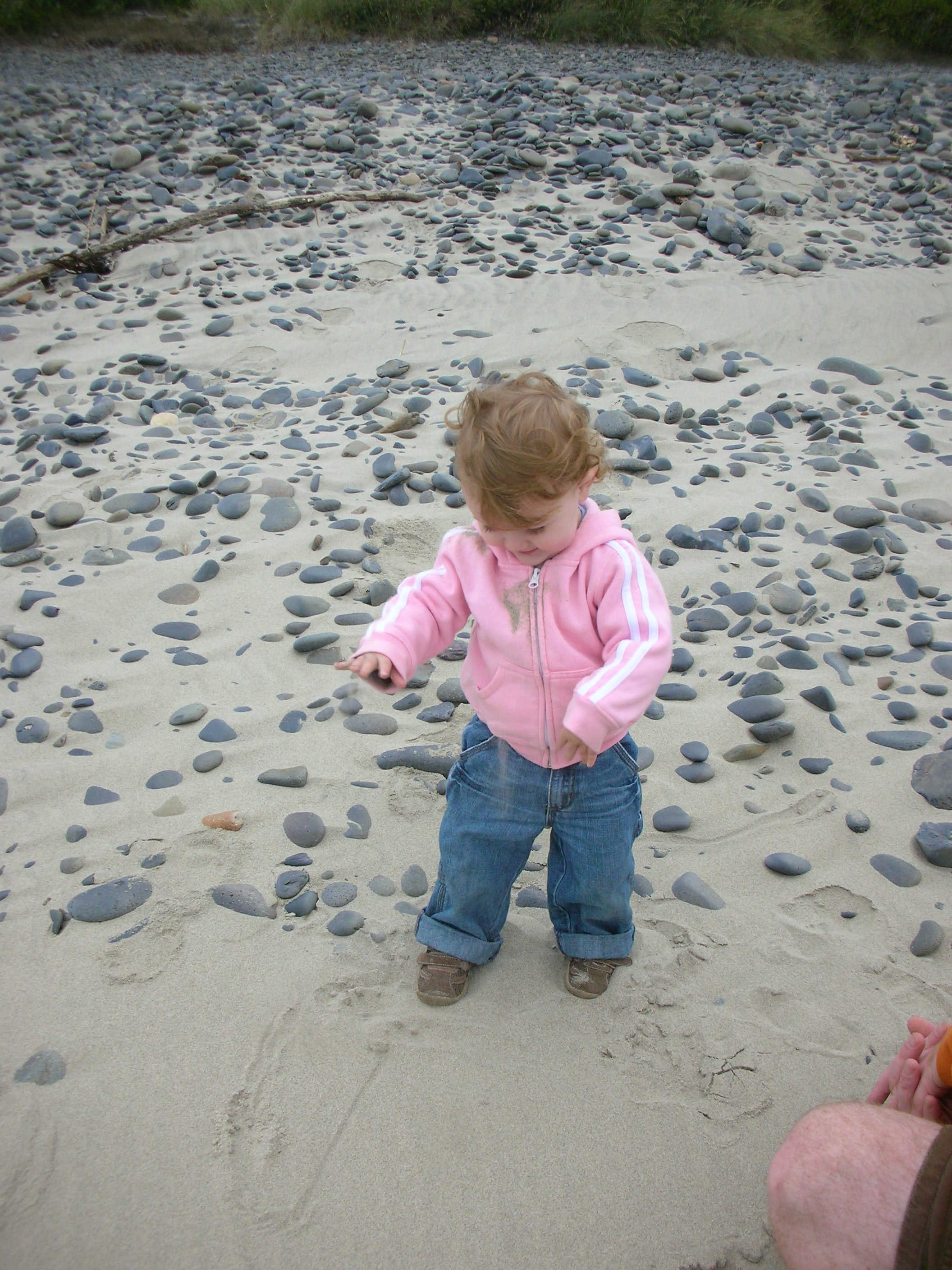 DSCN8628.JPG