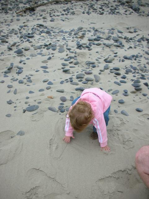 DSCN8629.JPG