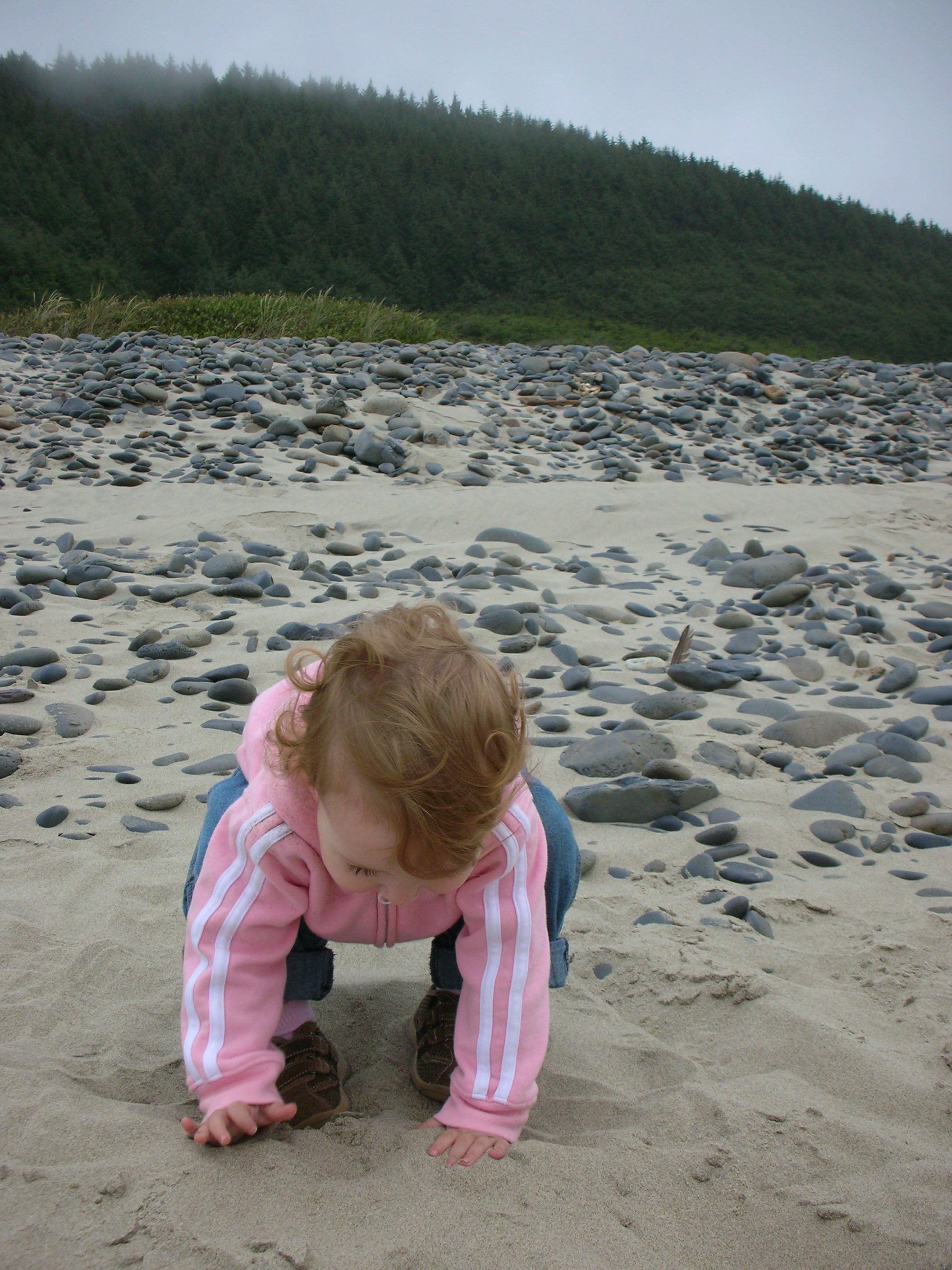 DSCN8654.JPG