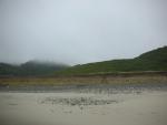 DSCN8671.JPG