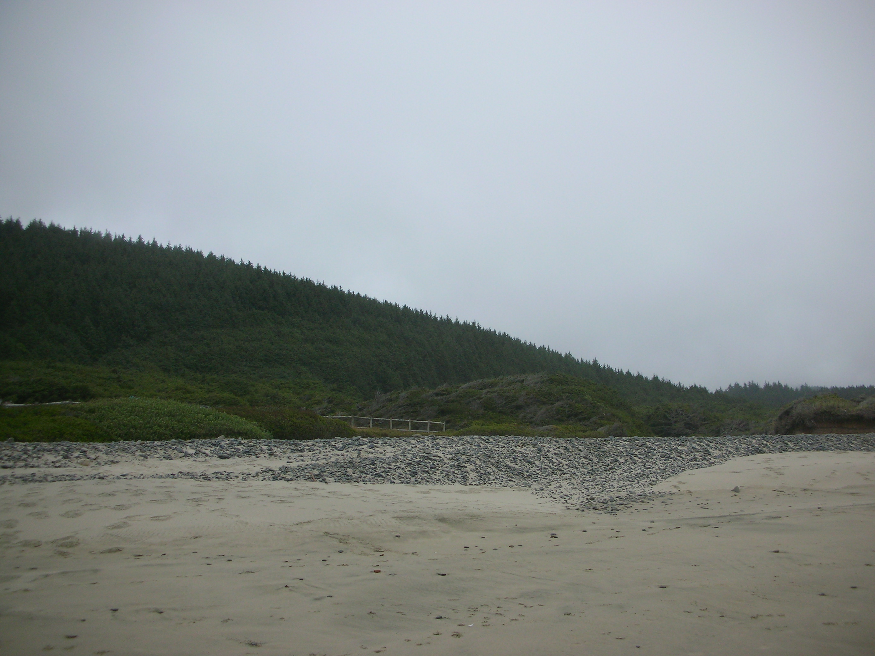 DSCN8677.JPG