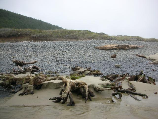 DSCN8678.JPG