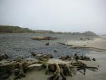 DSCN8679.JPG