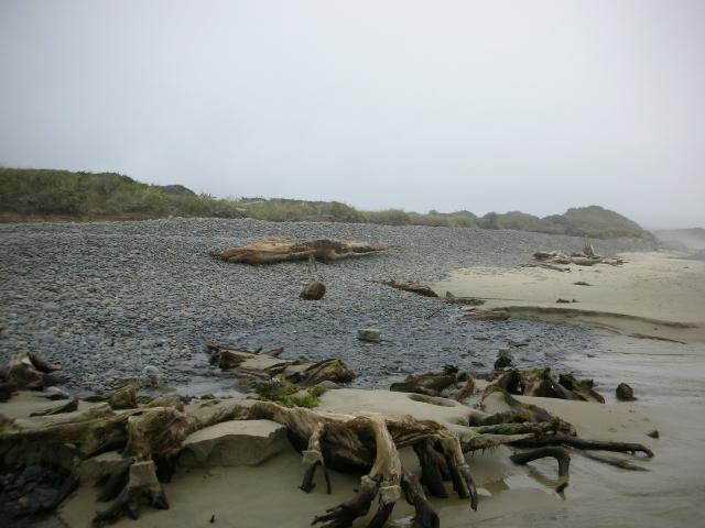 DSCN8679.JPG