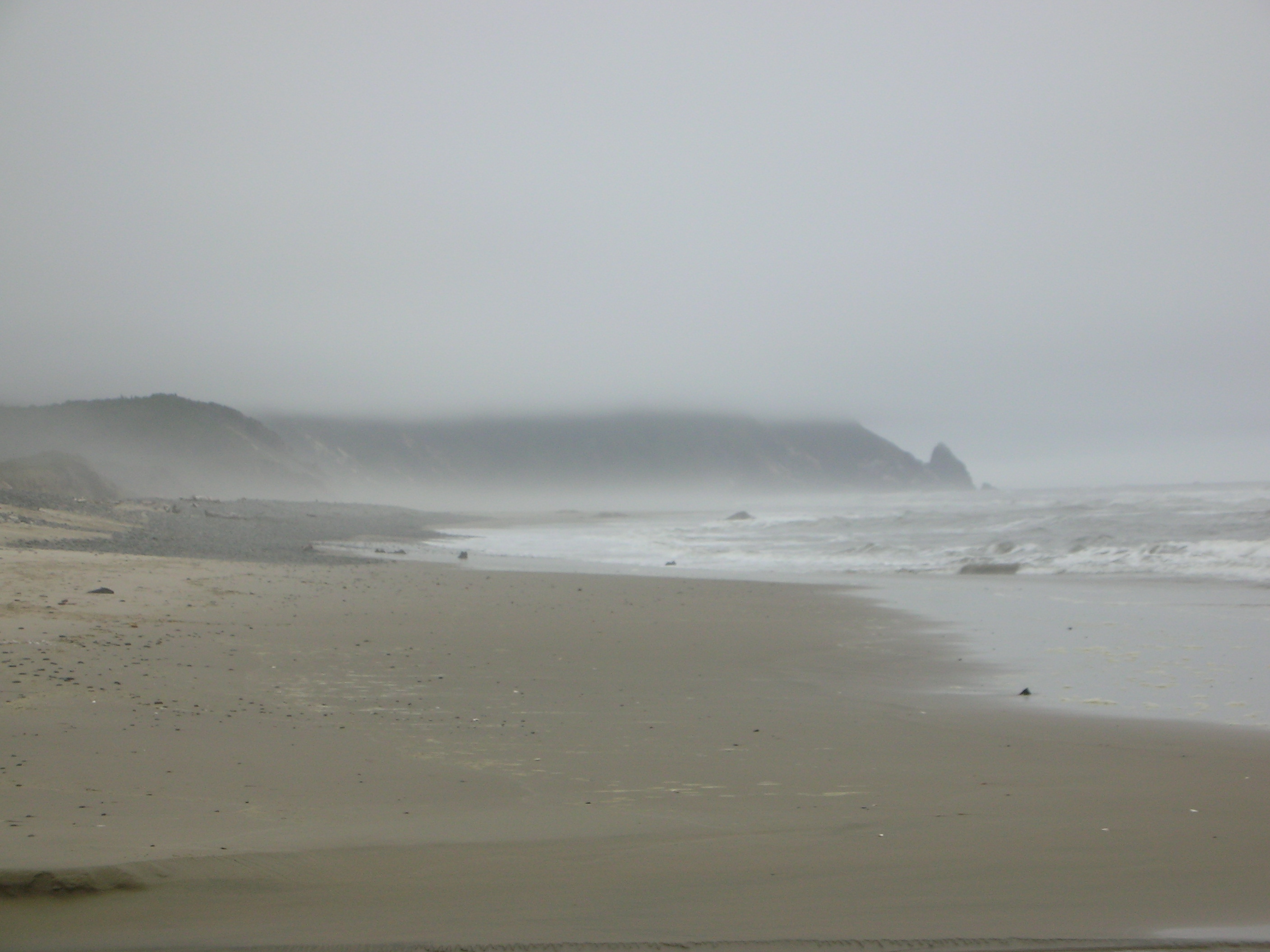 DSCN8681.JPG