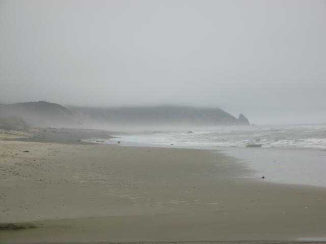 DSCN8681.JPG
