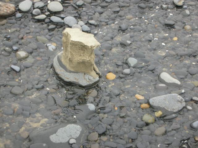 DSCN8682.JPG