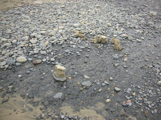 DSCN8683.JPG