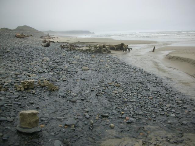 DSCN8684.JPG