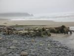 DSCN8685.JPG