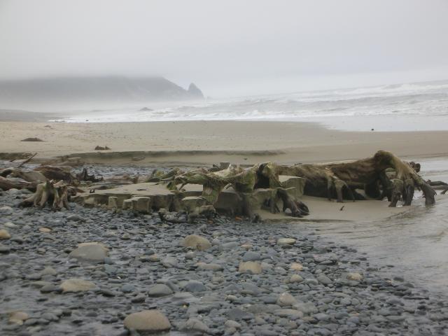 DSCN8685.JPG