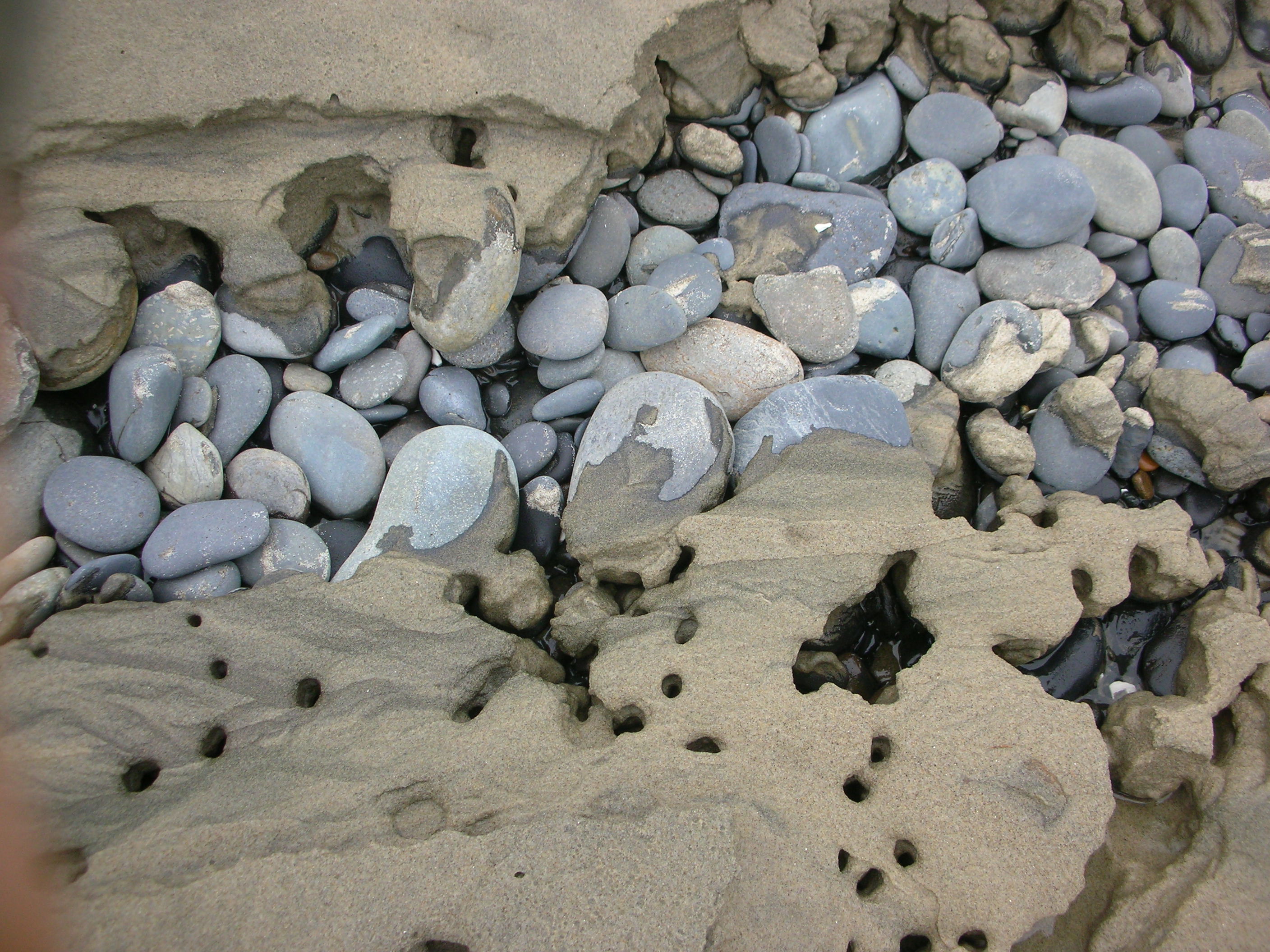 DSCN8687.JPG