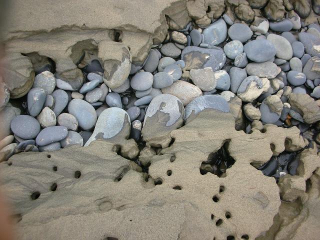 DSCN8687.JPG