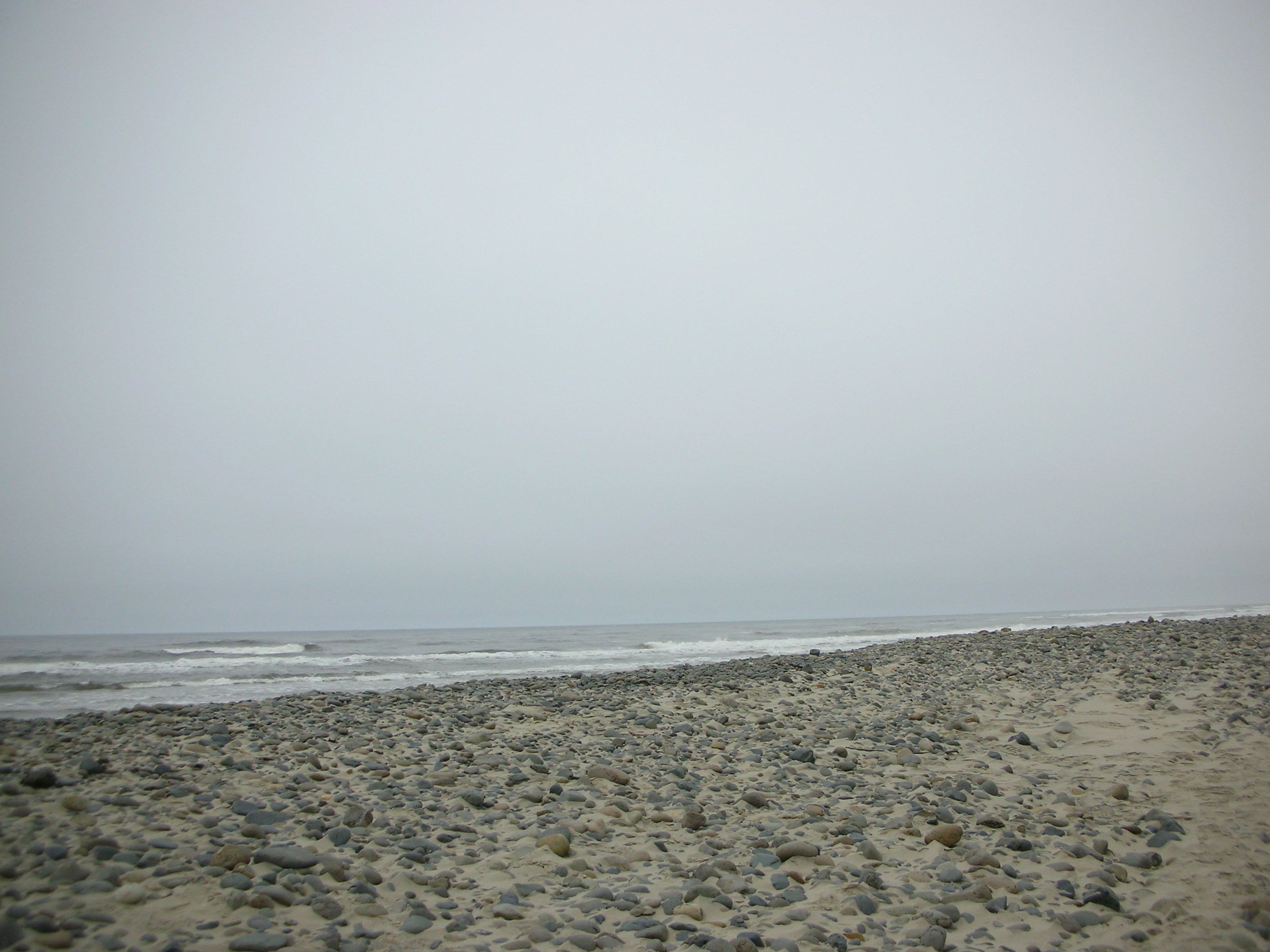 DSCN8695.JPG