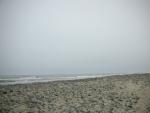 DSCN8695.JPG
