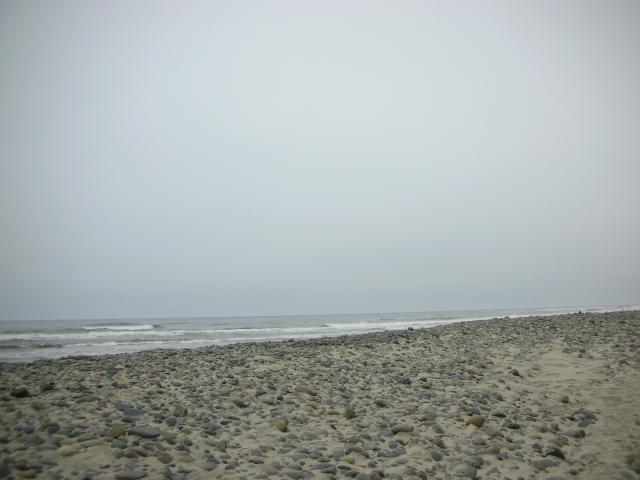 DSCN8695.JPG